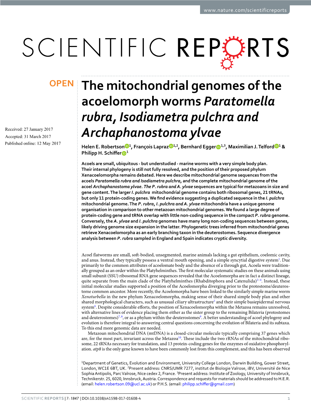 The Mitochondrial Genomes of the Acoelomorph Worms Paratomella