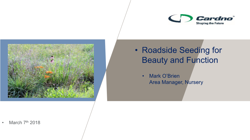 Roadside Seeding for Beauty and Function