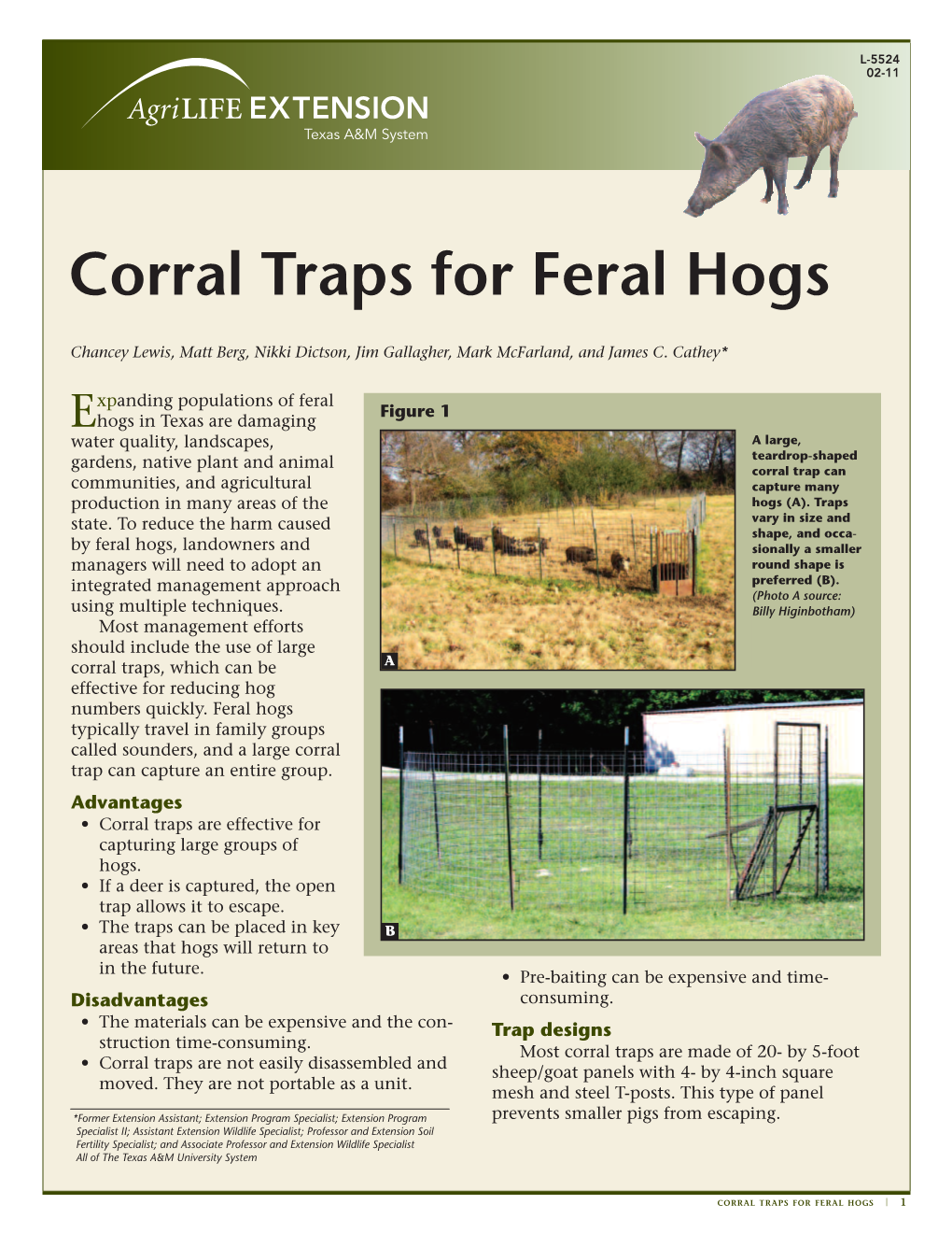 Corral Traps for Feral Hogs