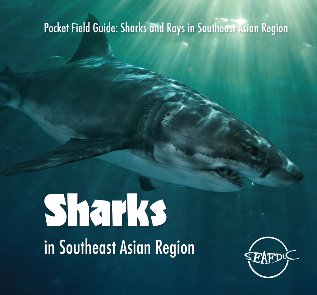 Sharks and Rays in Southeast Asian Region