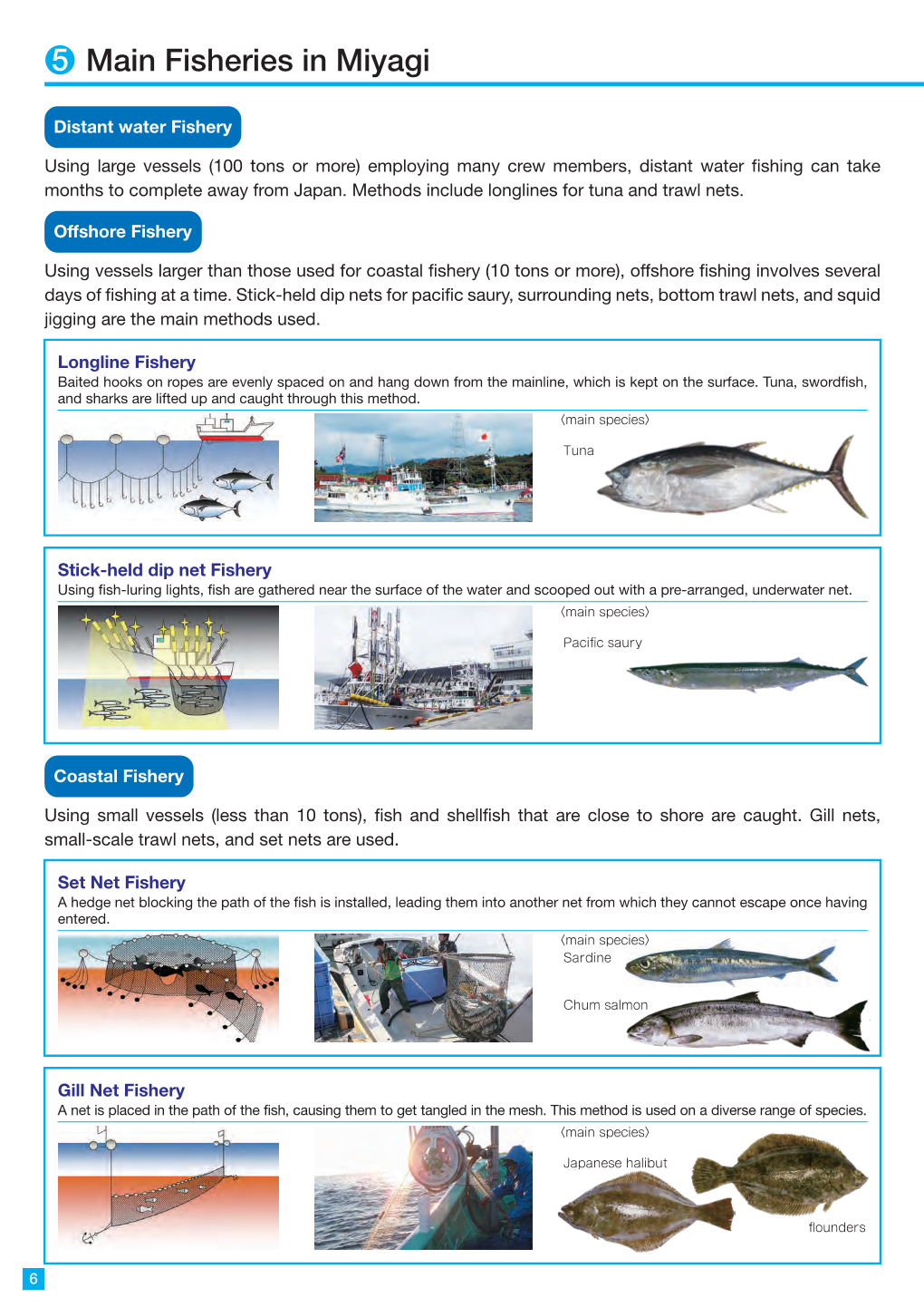 Main Fisheries in Miyagi 5