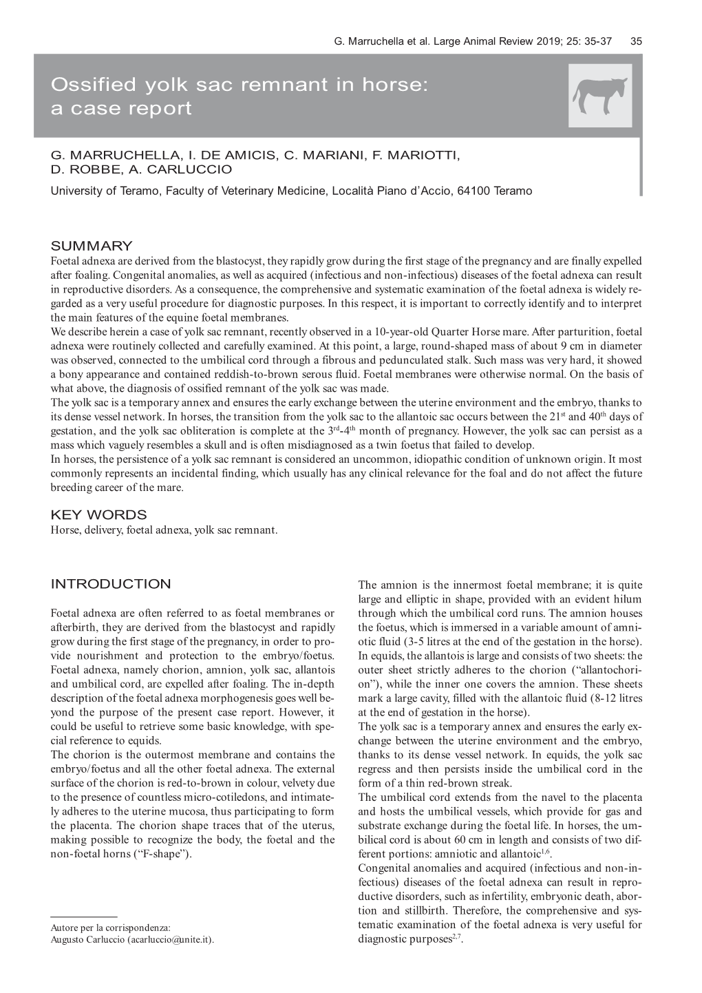 Ossified Yolk Sac Remnant in Horse: a Case Report Z