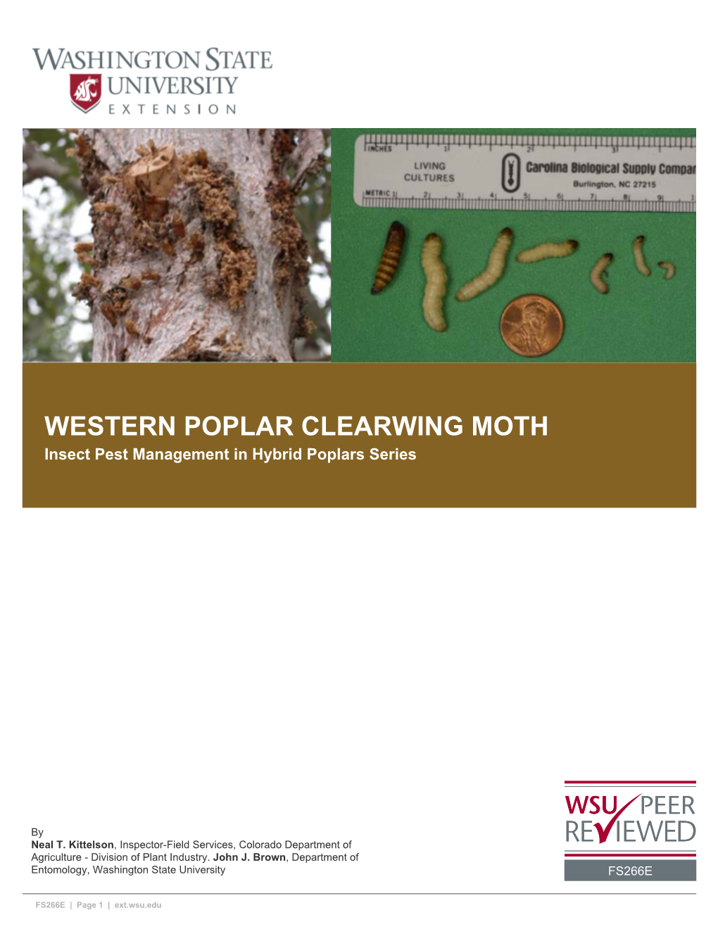 WESTERN POPLAR CLEARWING MOTH Insect Pest Management in Hybrid Poplars Series