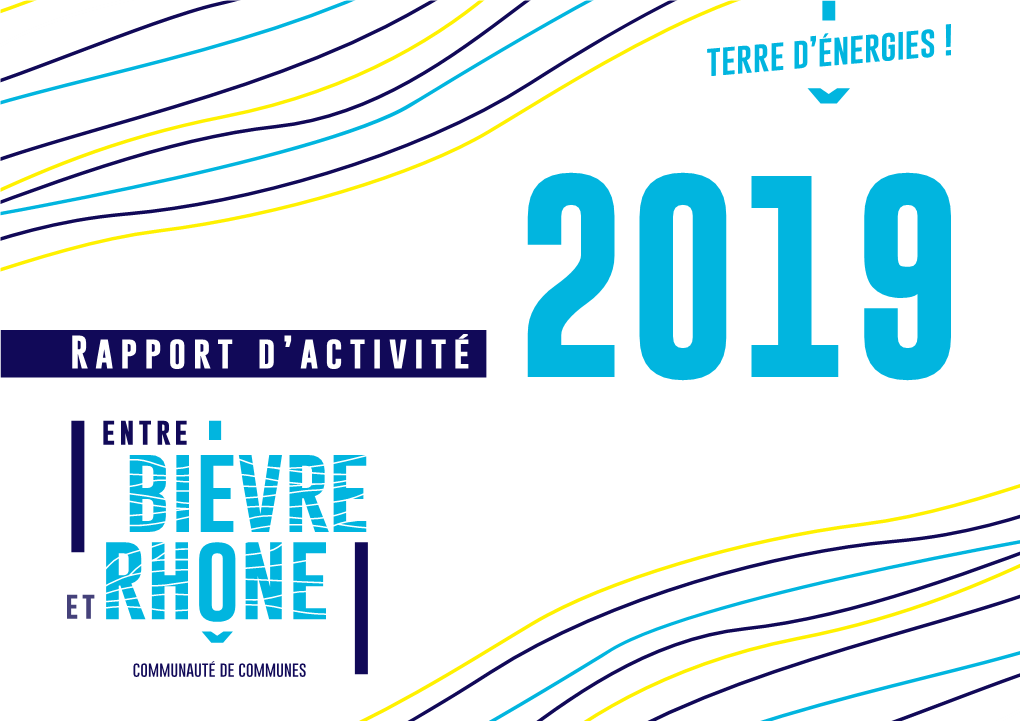 Rapport D'activité 2019 PDF 16Mo