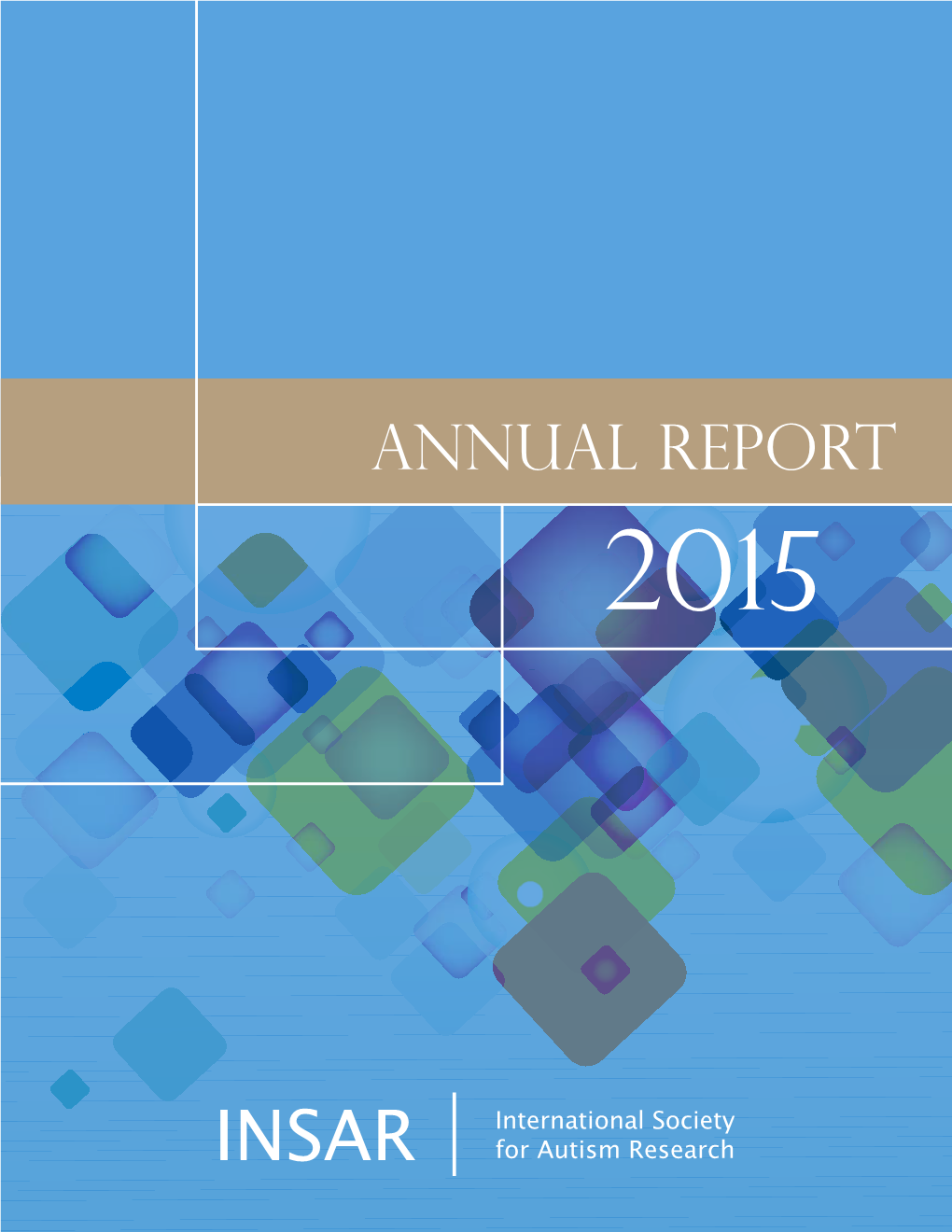 Annual Report 2015 INSAR | Board of Directors 2015-2017
