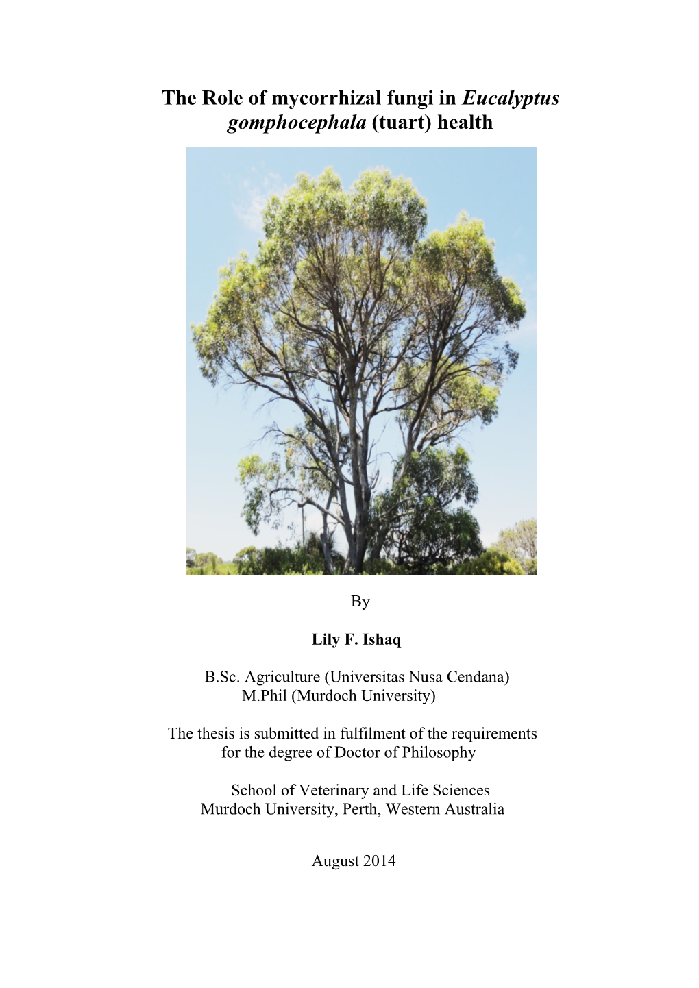 The Role of Mycorrhizal Fungi in Eucalyptus Gomphocephala (Tuart) Health