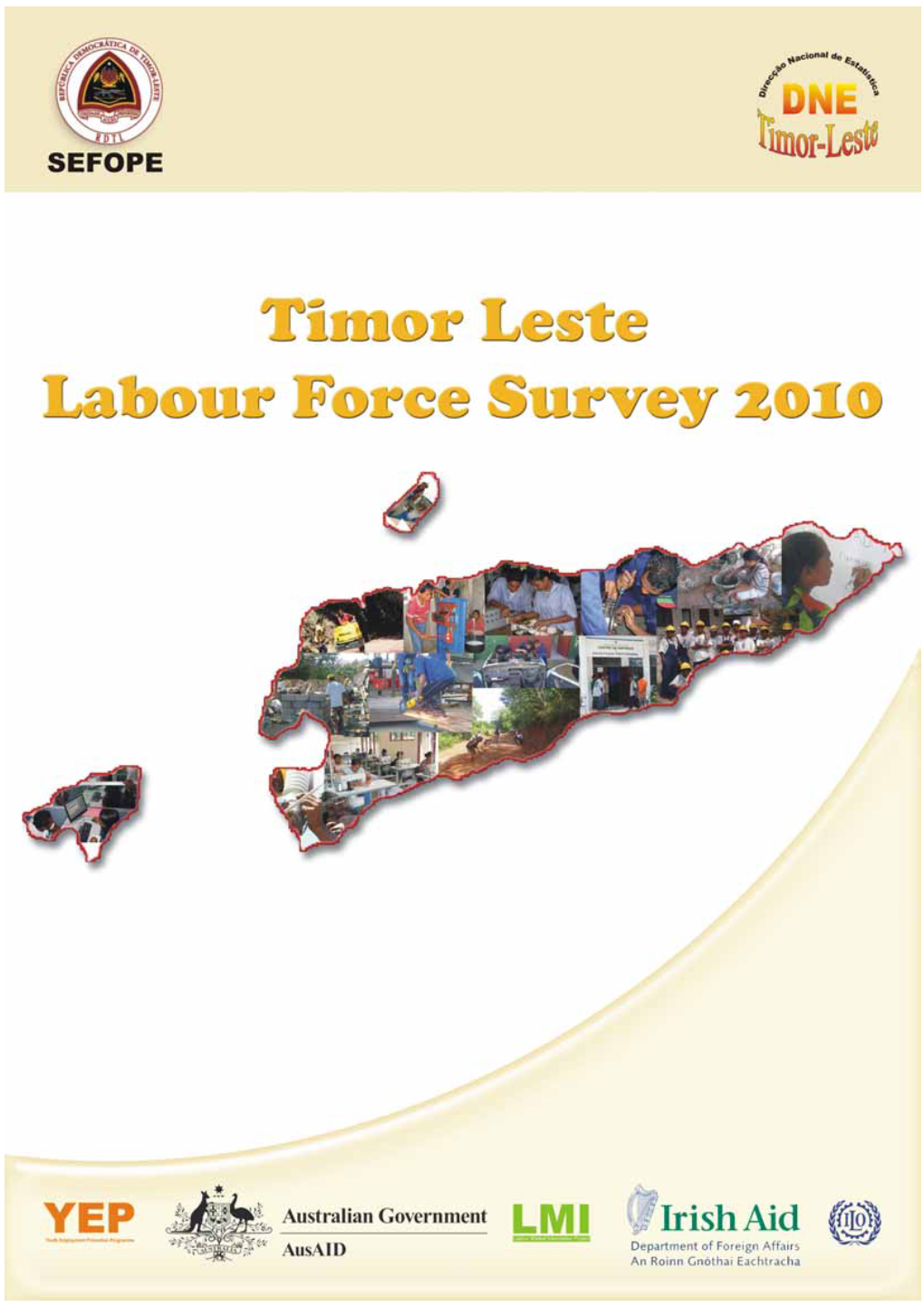 Flow Chart of Timor-Leste Labour Force Survey 2010