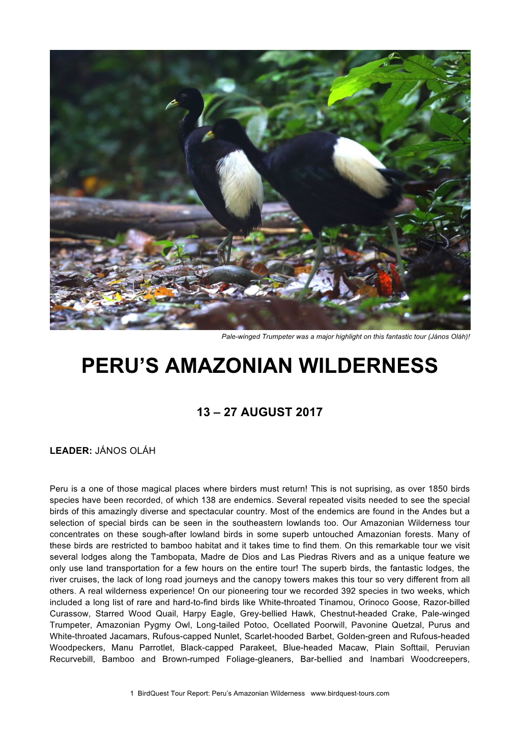 Peru's Amazonian Wilderness