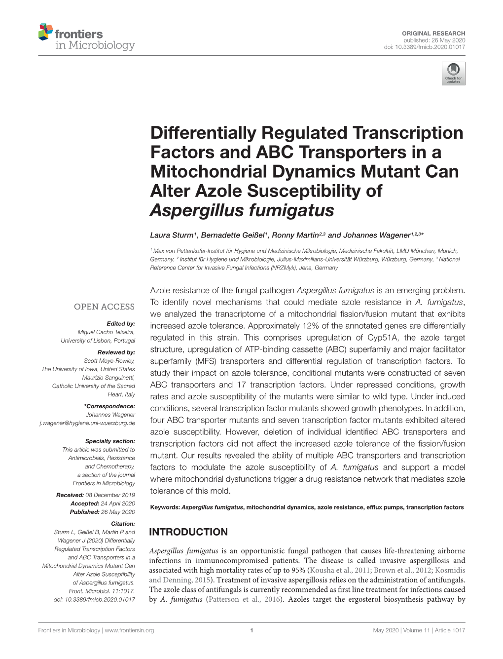 Differentially Regulated Transcription Factors and ABC Transporters in a Mitochondrial Dynamics Mutant Can Alter Azole Susceptibility of Aspergillus Fumigatus