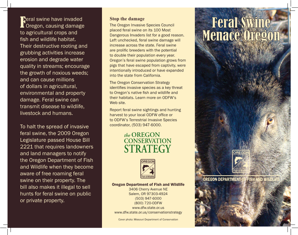 Hunting Feral Swine Domestic Management Most Known Feral Swine Are on Private Confinement Land, So There Are Limited Hunting Within a Radius of Opportunities