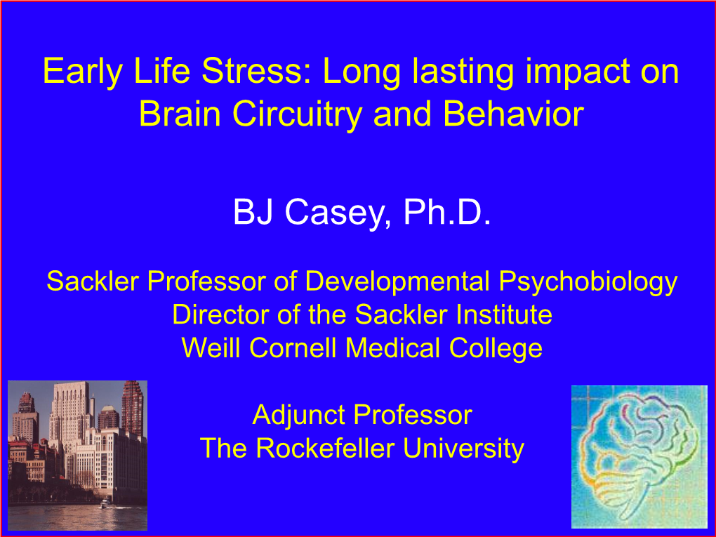 BJ Casey, Ph.D. Early Life Stress