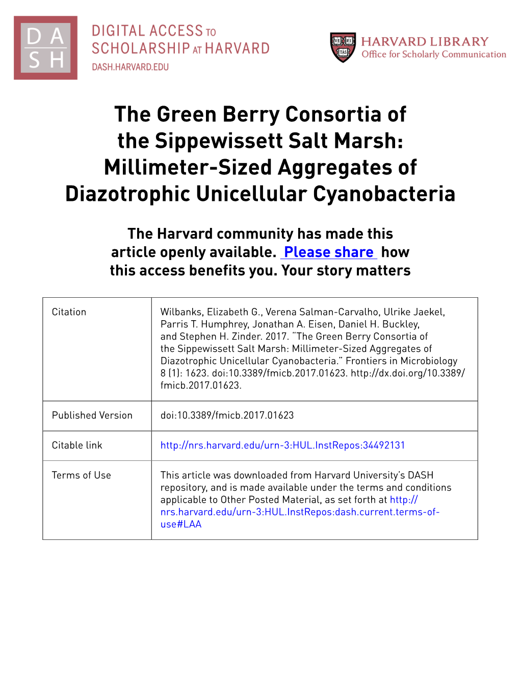 The Green Berry Consortia of the Sippewissett Salt Marsh: Millimeter-Sized Aggregates of Diazotrophic Unicellular Cyanobacteria
