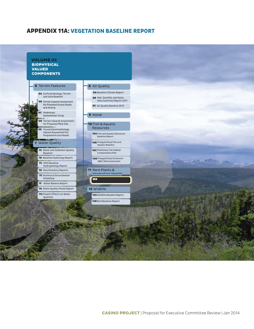 11A Vegetation Baseline Report