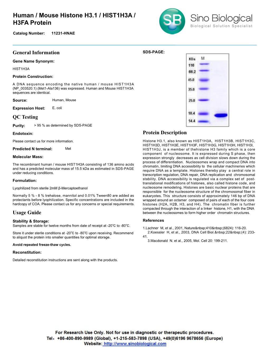 Human / Mouse Histone H3.1 / HIST1H3A / H3FA Protein