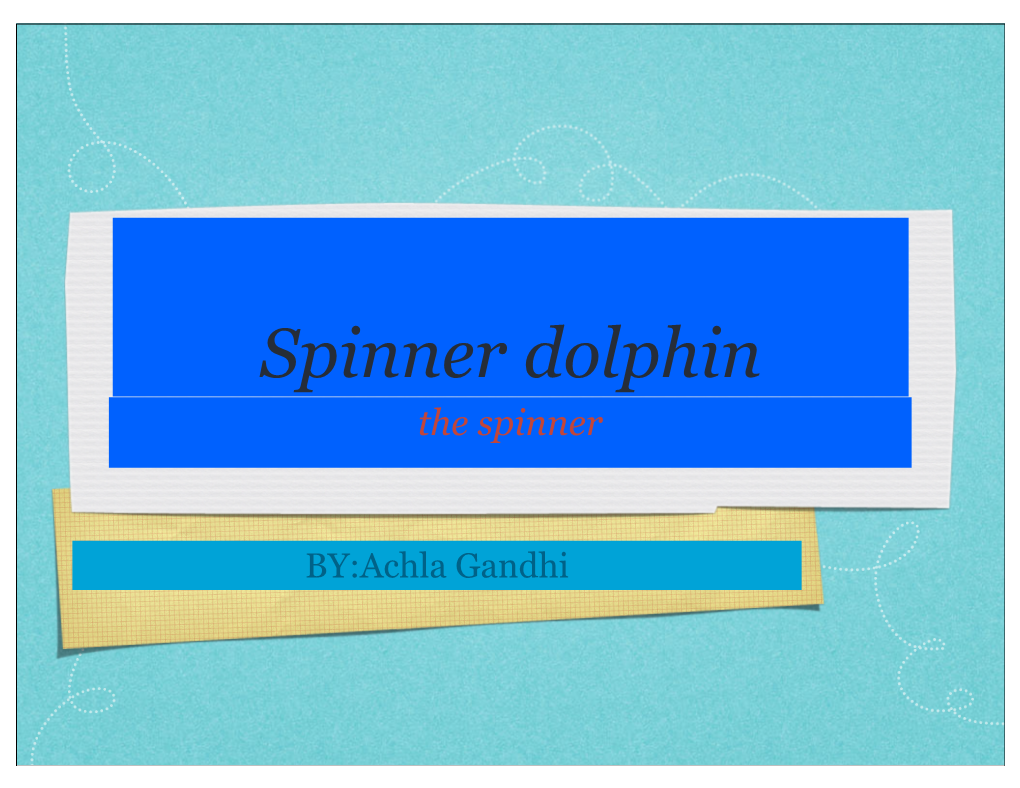 Spinner Dolphin the Spinner