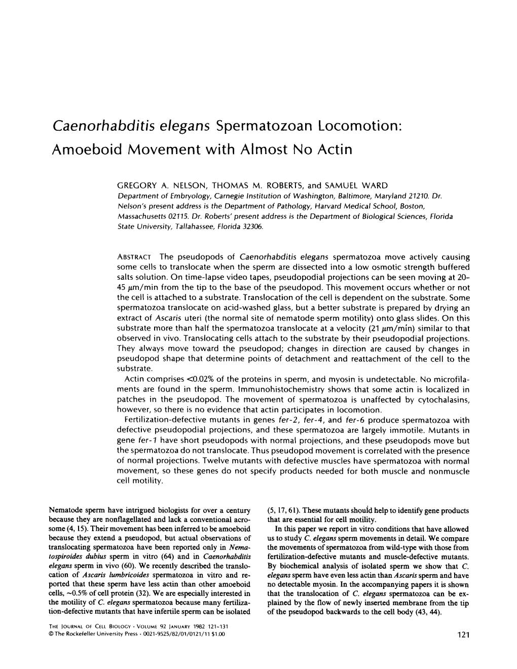 Caenorhabditis Elegans Spermatozoan Locomotion: Amoeboid Movement with Almost No Actin