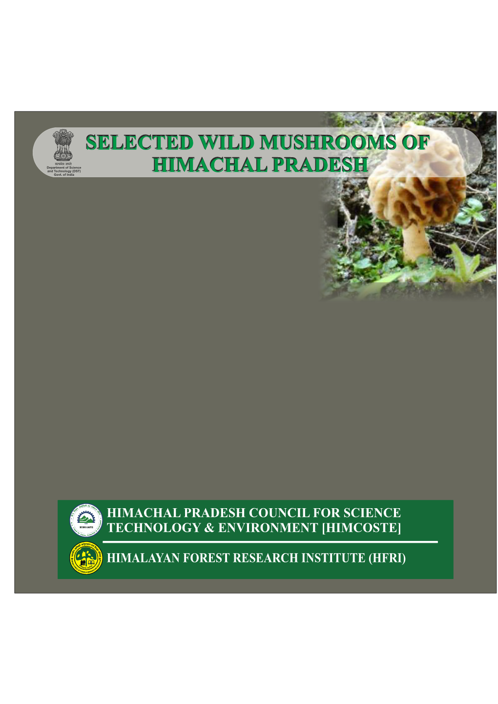 Wild Mushrooms Booklet