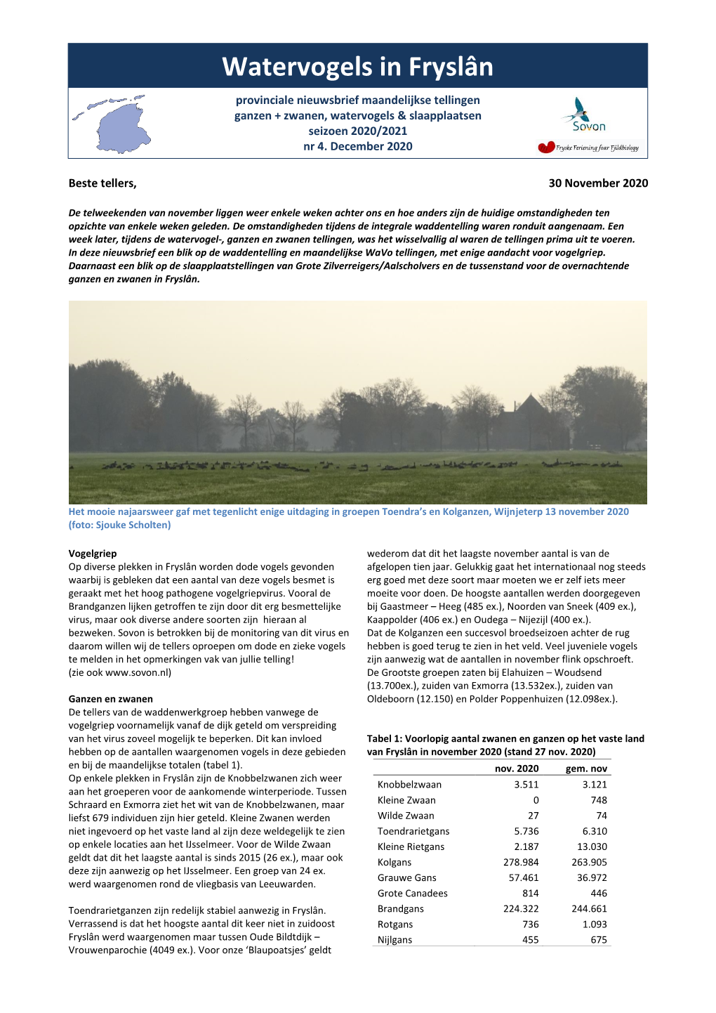 Watervogels in Fryslân Provinciale Nieuwsbrief Maandelijkse Tellingen Ganzen + Zwanen, Watervogels & Slaapplaatsen Seizoen 2020/2021 Nr 4