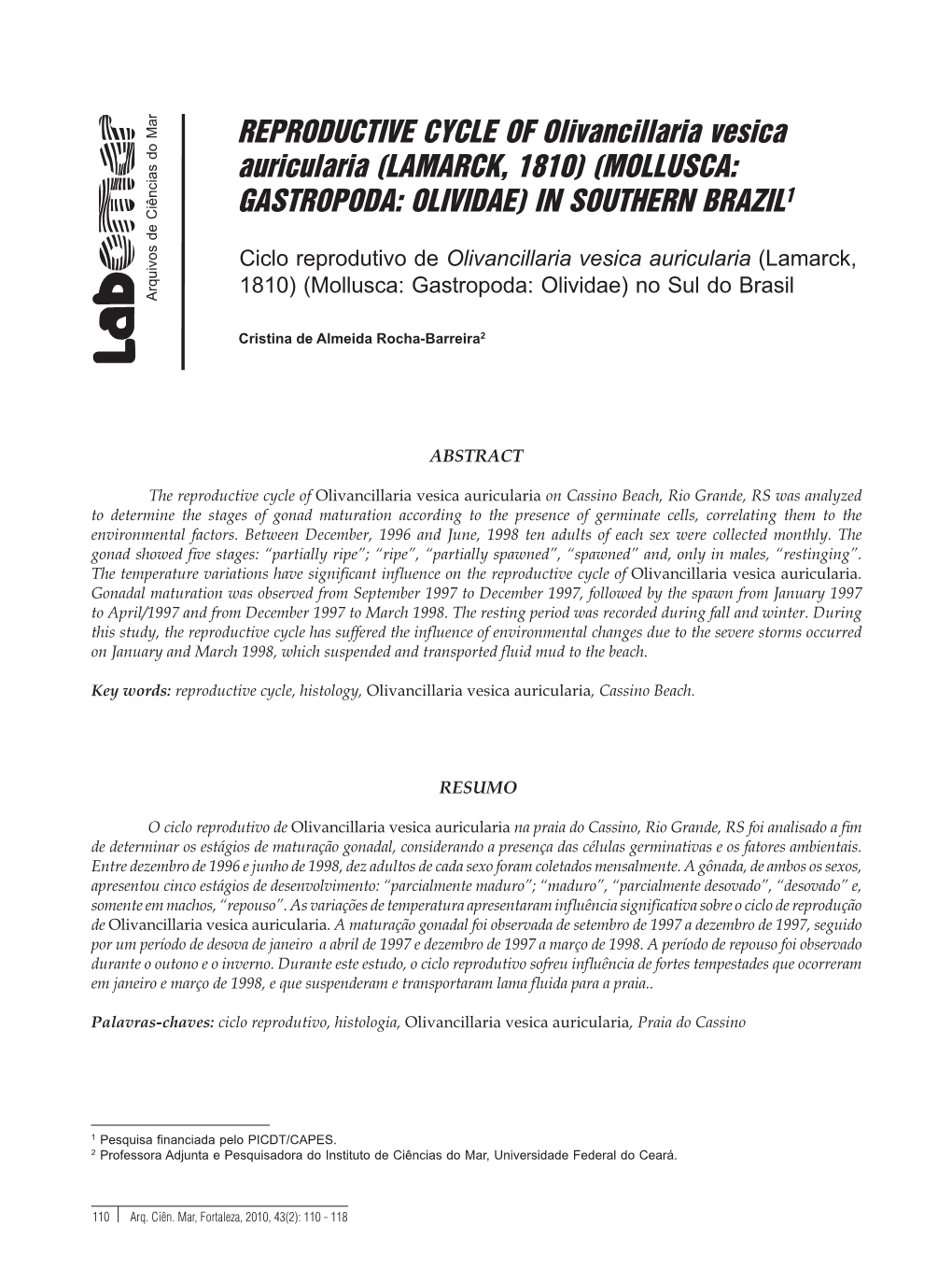 REPRODUCTIVE CYCLE of Olivancillaria Vesica Auricularia (LAMARCK, 1810) (MOLLUSCA: GASTROPODA: OLIVIDAE) in Southern BRAZIL1