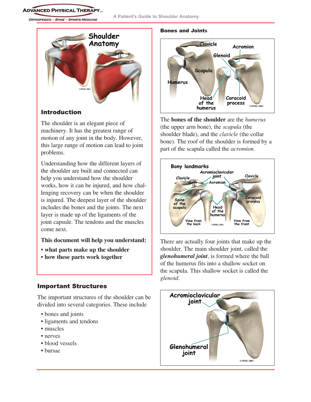 Shoulder-Anatomy.Pdf