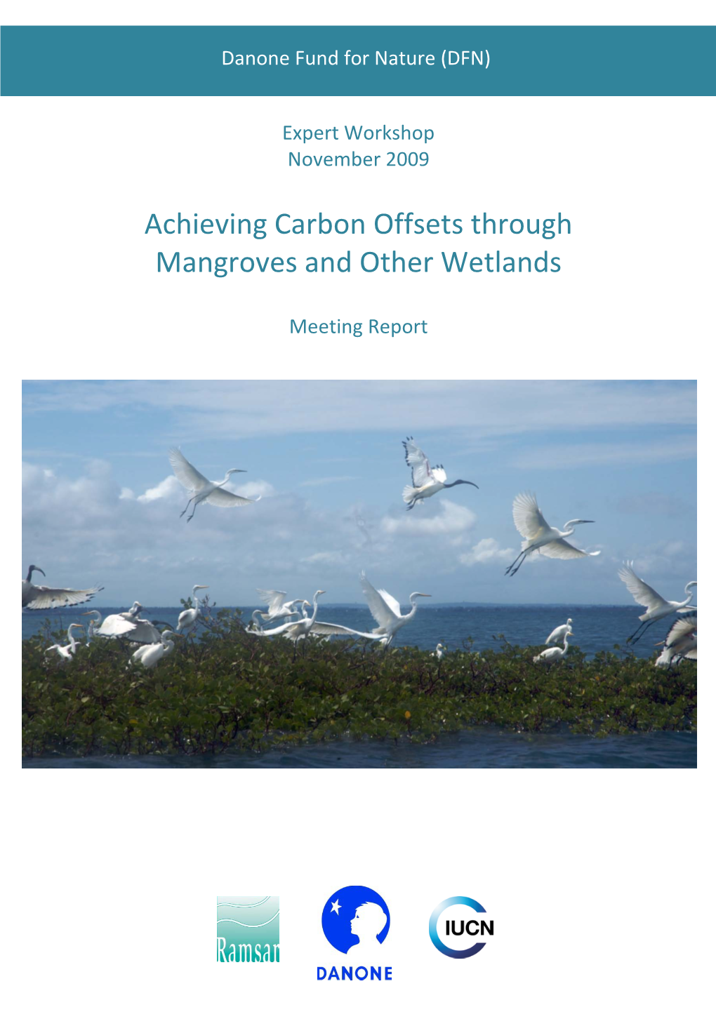 Achieving Carbon Offsets Through Mangroves and Other Wetlands