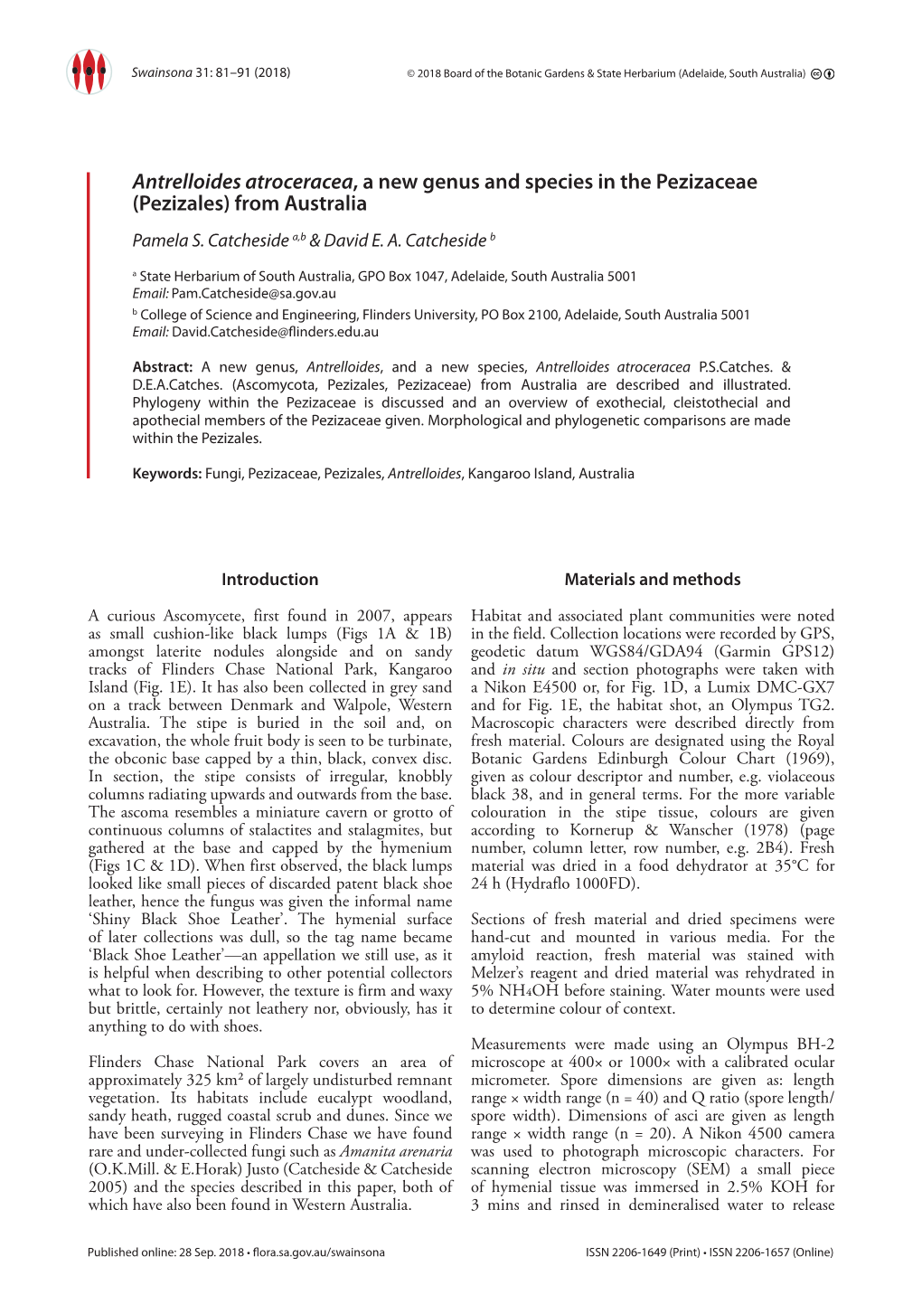 Antrelloides Atroceracea, a New Genus and Species in the Pezizaceae (Pezizales) from Australia Pamela S