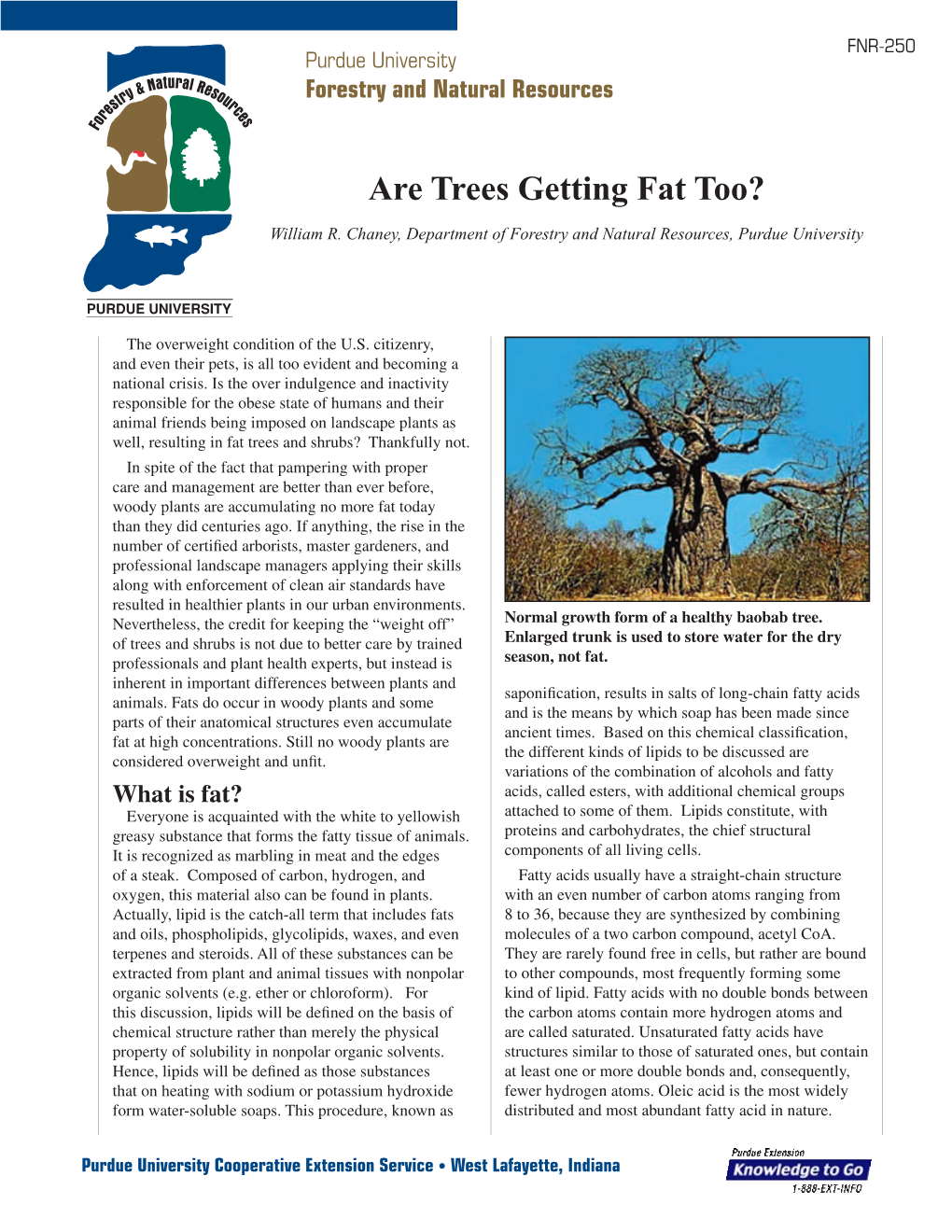 FNR 250 Are Trees Getting Fat Too?
