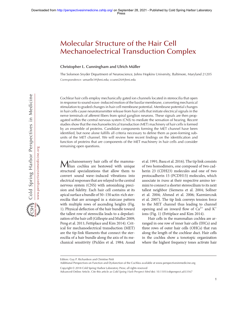 Molecular Structure of the Hair Cell Mechanoelectrical Transduction Complex