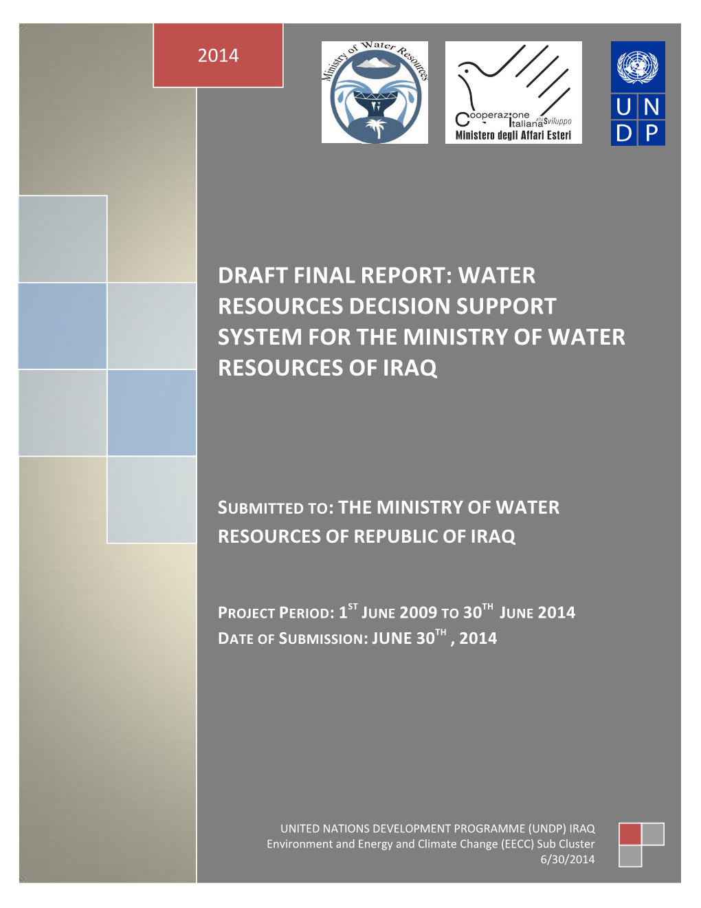 Draft Final Report: Water Resources Decision Support System for the Ministry of Water Resources of Iraq