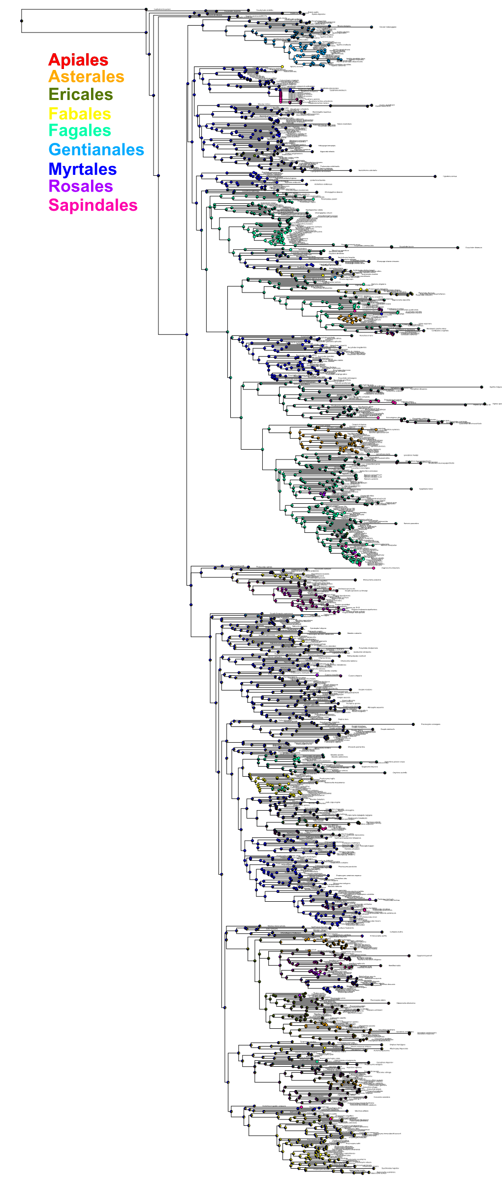 Dplotkin Ch4 Object4 16 Host