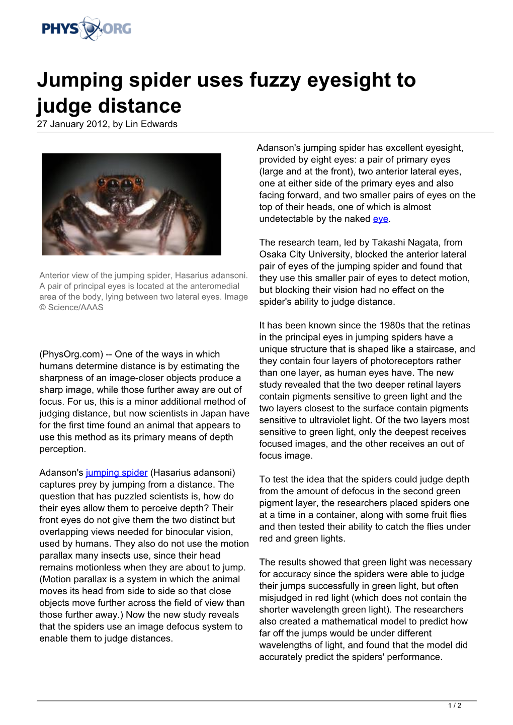 Jumping Spider Uses Fuzzy Eyesight to Judge Distance 27 January 2012, by Lin Edwards