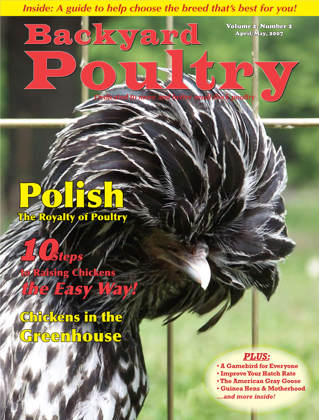 The Polish Chicken: Requirements Involved