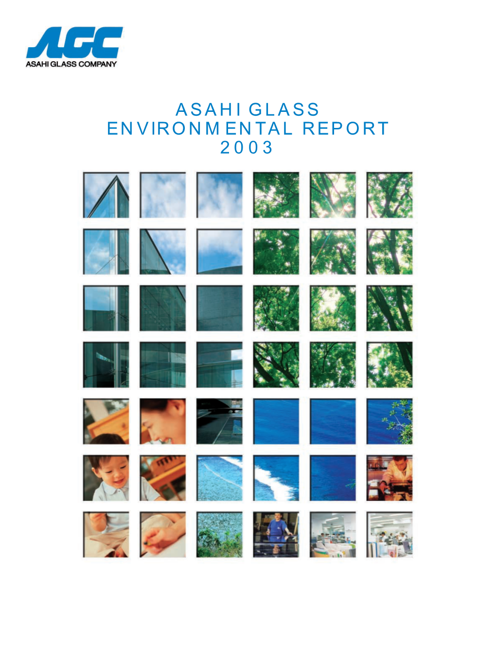 ENVIRONMENTAL REPORT 2003 Table of Contents