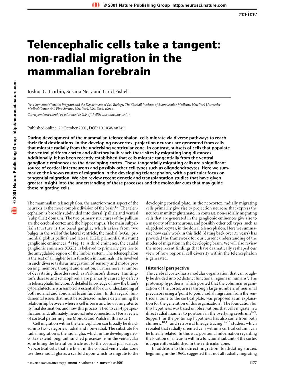 Telencephalic Cells Take a Tangent: Non-Radial Migration in the Mammalian Forebrain