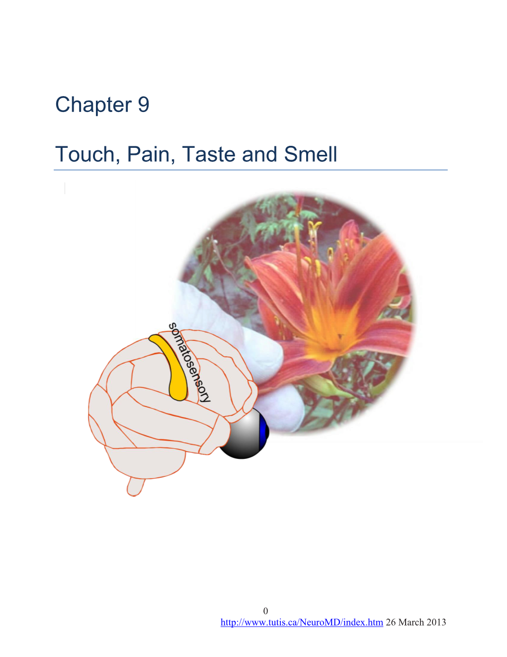 Chapter 9 Touch, Pain, Taste and Smell