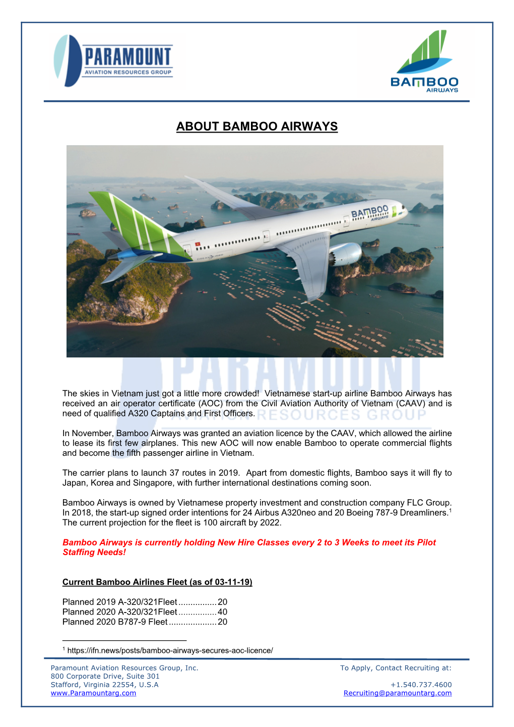 About Bamboo Airways