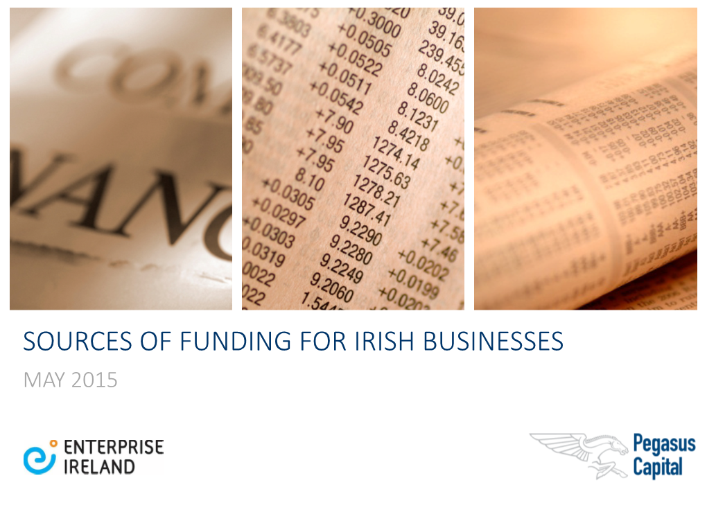 Sources of Funding for Irish Businesses May 2015 Introduction to Pegasus Capital Section I About Us