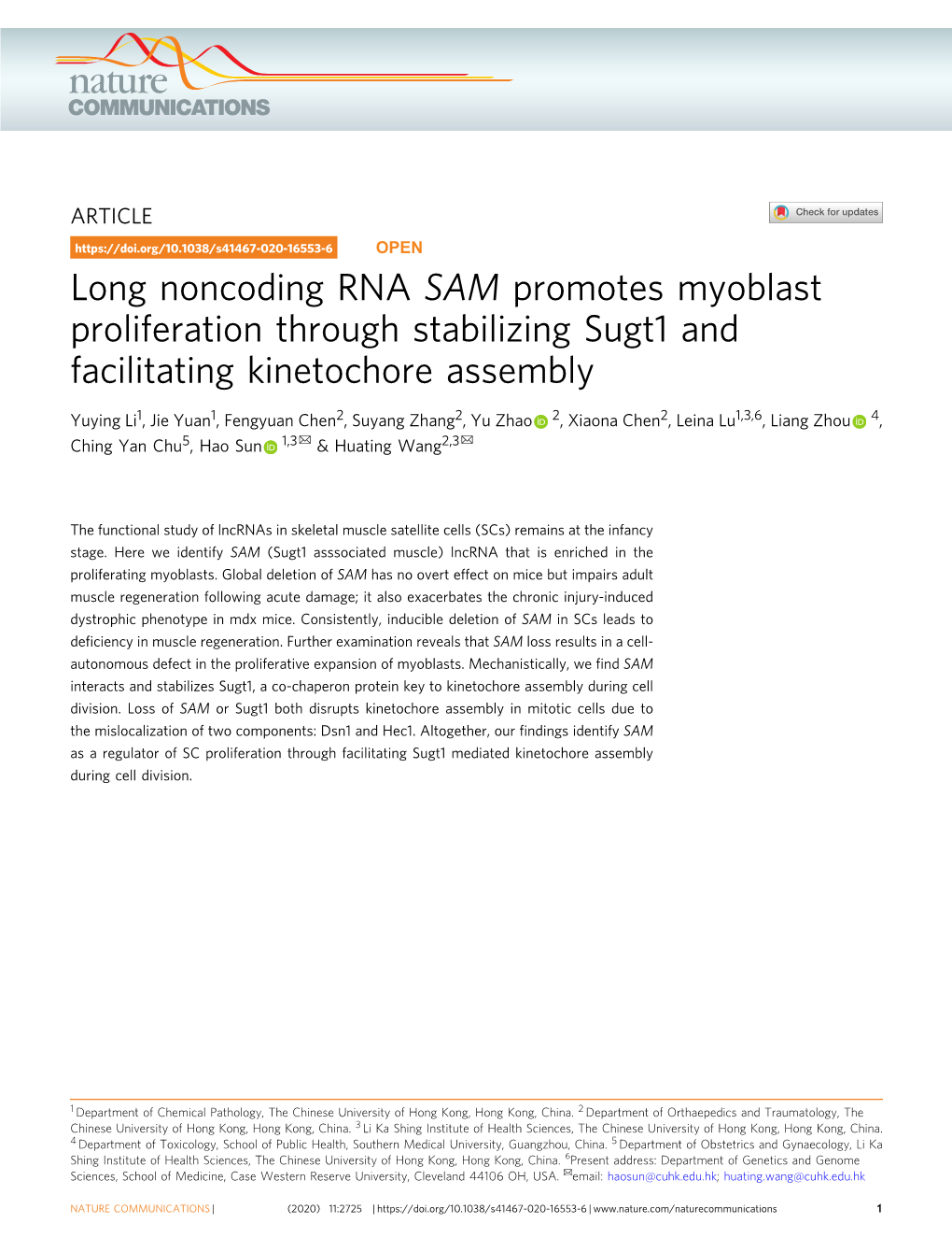 Long Noncoding RNA SAM Promotes Myoblast Proliferation Through Stabilizing Sugt1 and Facilitating Kinetochore Assembly