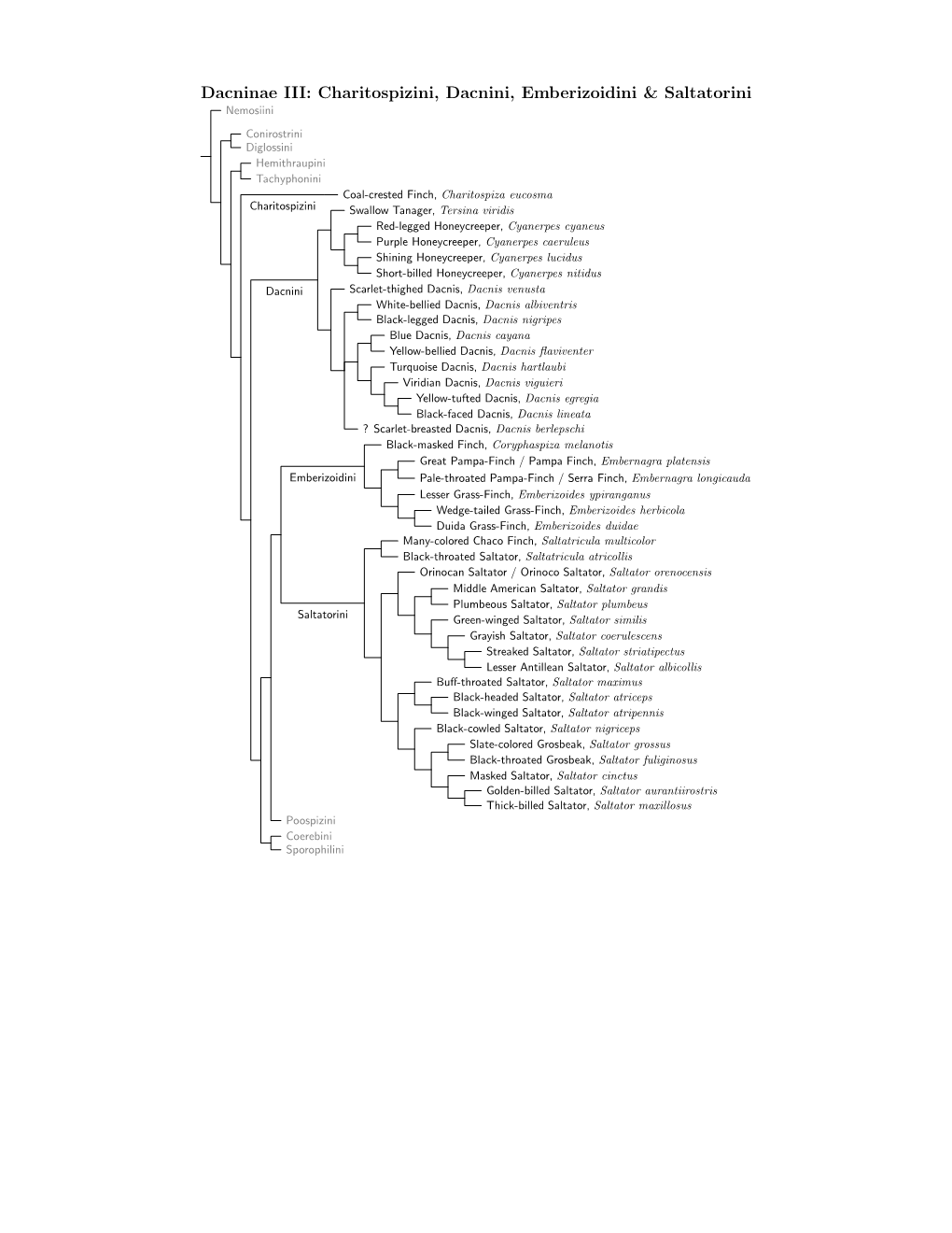 Dacninae Species Tree, Part 2