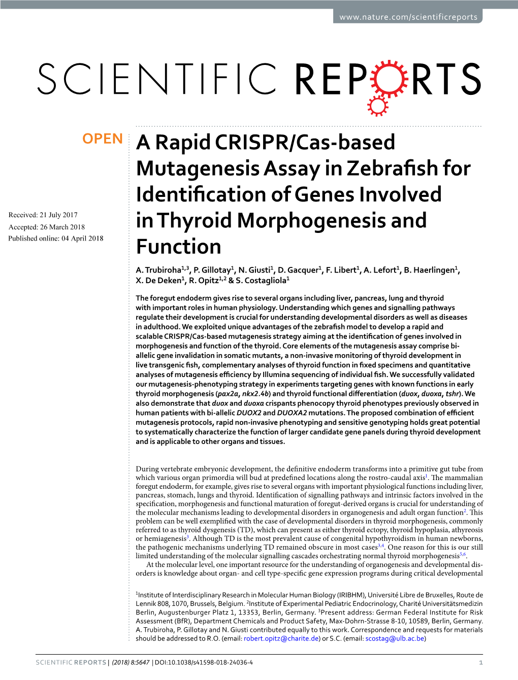 A Rapid CRISPR/Cas-Based Mutagenesis Assay in Zebrafish For