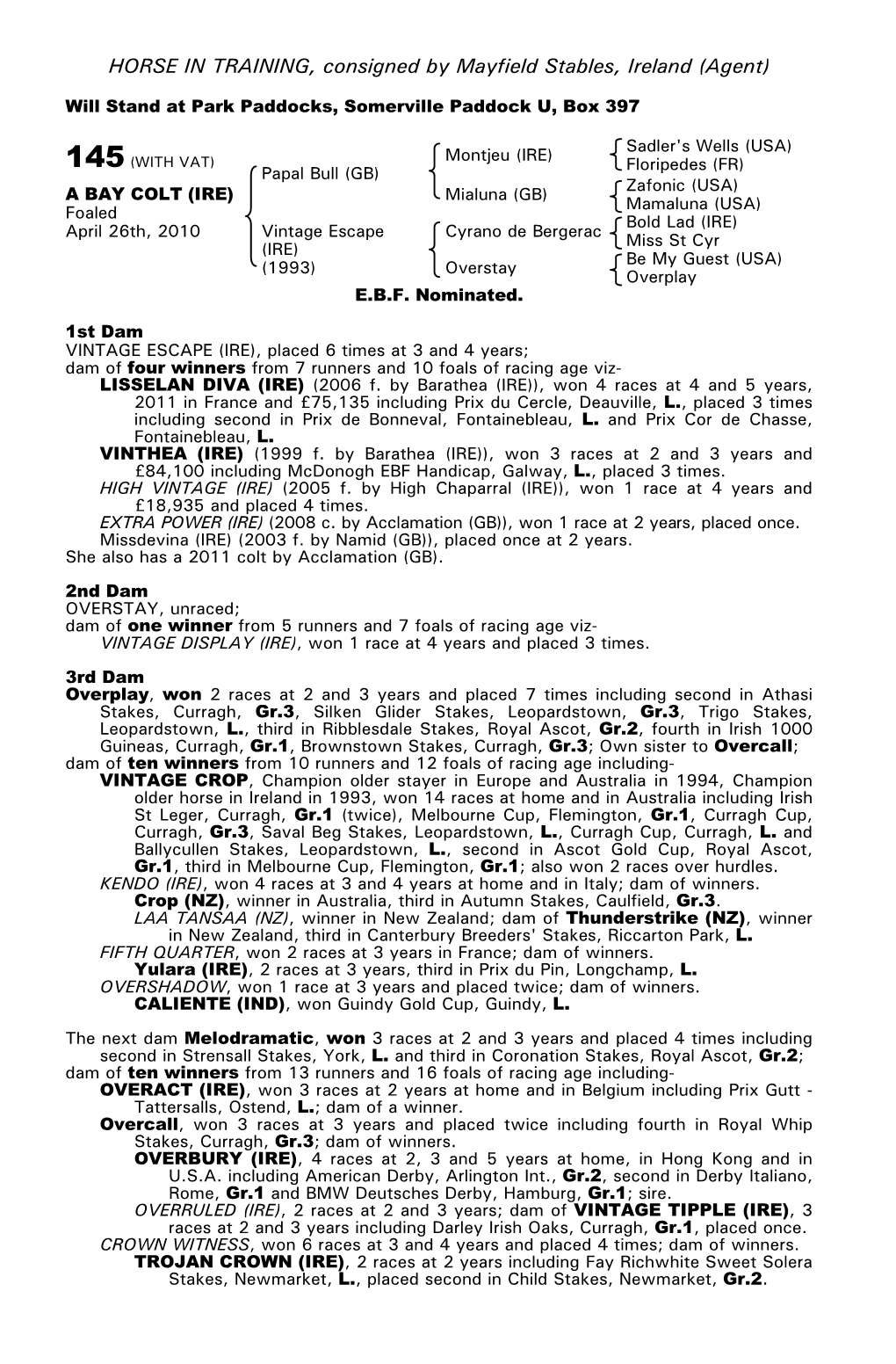 HORSE in TRAINING, Consigned by Mayfield Stables, Ireland (Agent)