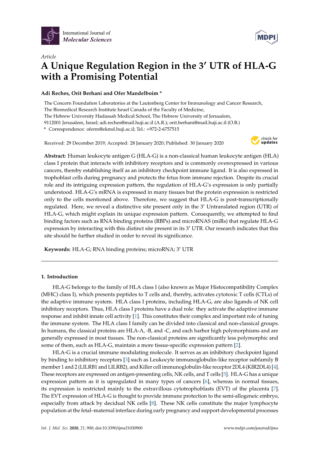 A Unique Regulation Region in the 3 UTR of HLA-G with a Promising Potential