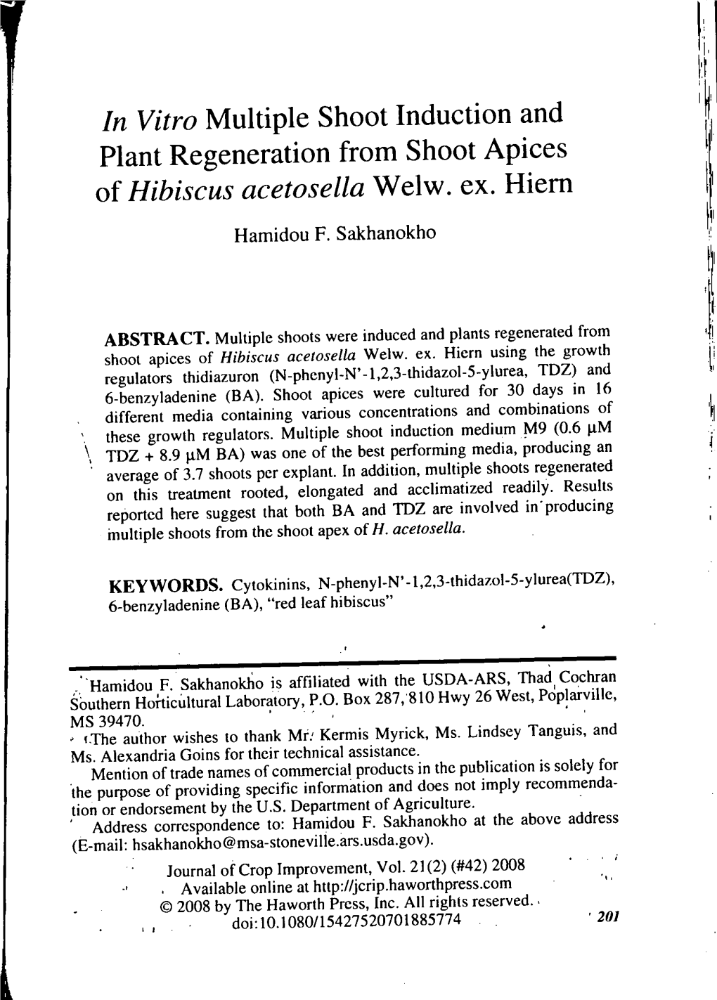 Of Hibiscus Acetosella Weiw