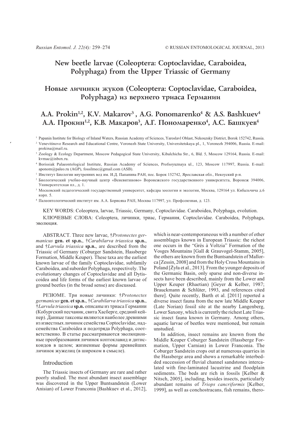 New Beetle Larvae (Coleoptera: Coptoclavidae, Caraboidea, Polyphaga) from the Upper Triassic of Germany