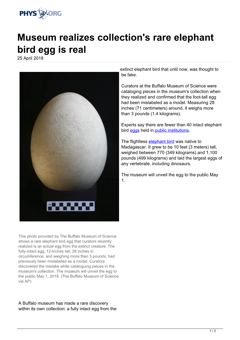 Museum Realizes Collection's Rare Elephant Bird Egg Is Real 25 April 2018