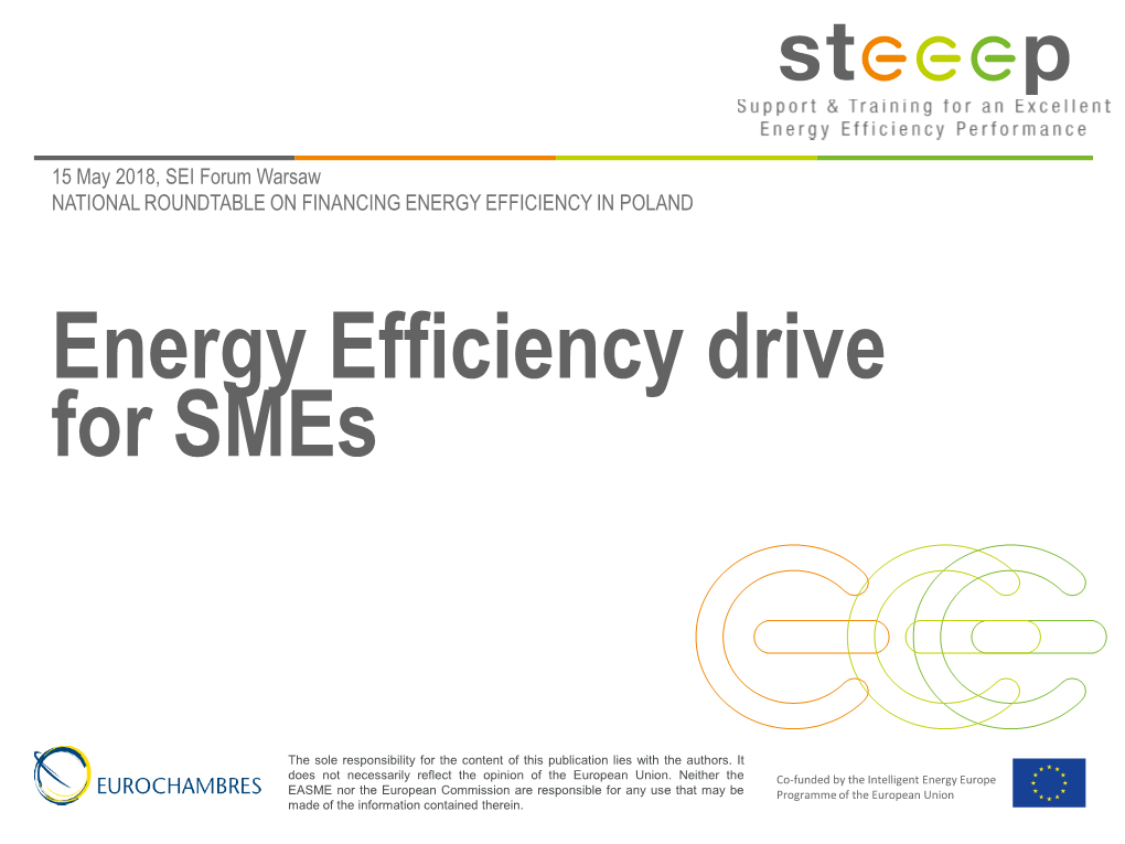 Energy Efficiency Drive for Smes