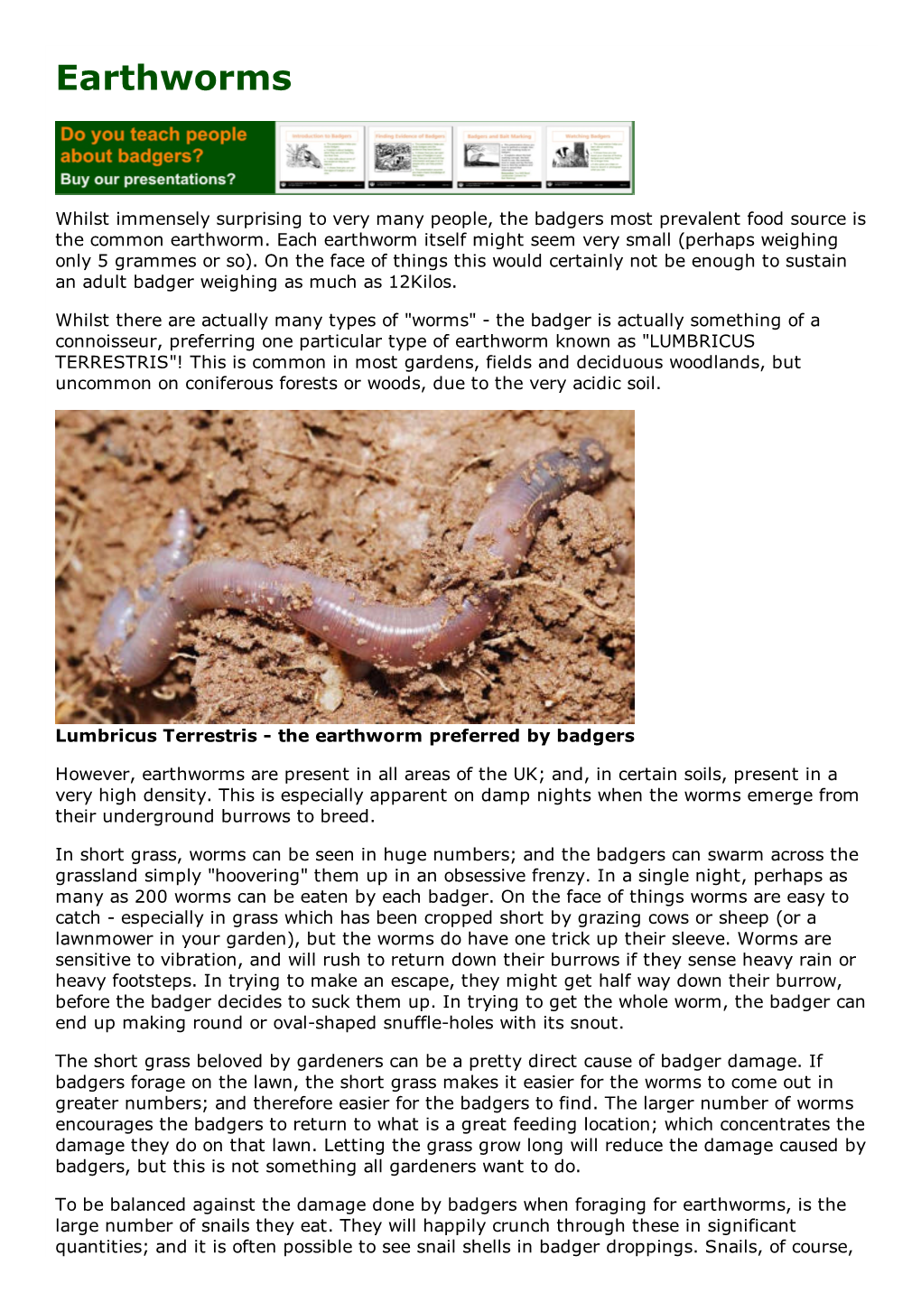 Earthworms. Badgerland