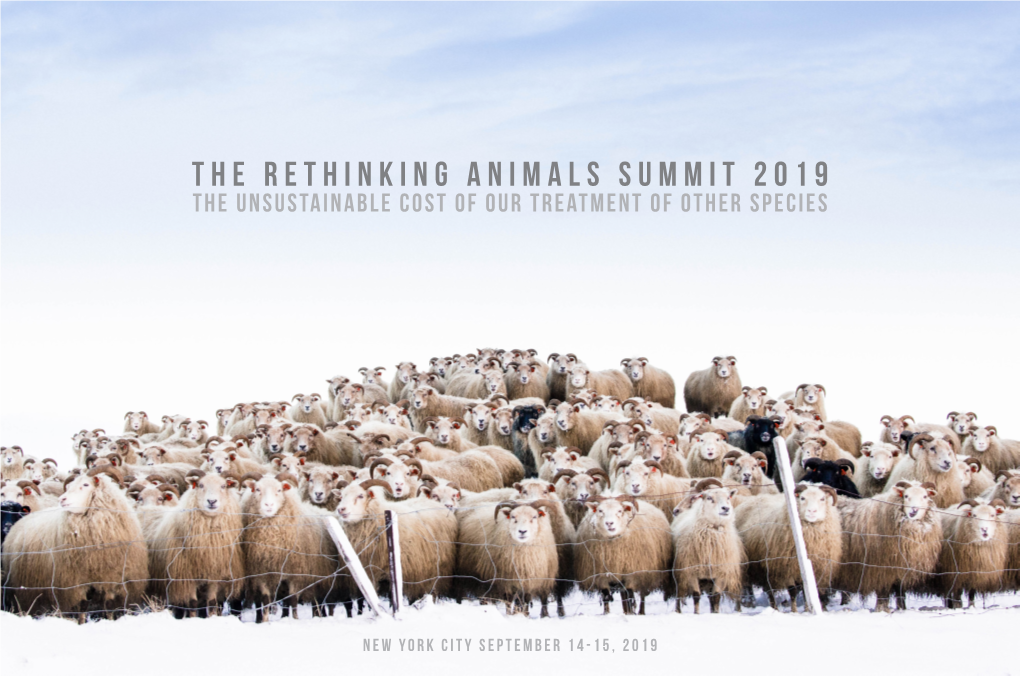 The Rethinking Animals Summit 2019 the Unsustainable Cost of Our Treatment of Other Species