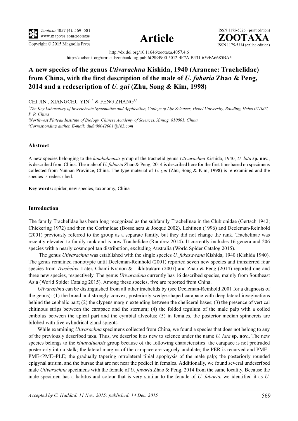 A New Species of the Genus Utivarachna Kishida, 1940 (Araneae: Trachelidae) from China, with the First Description of the Male of U