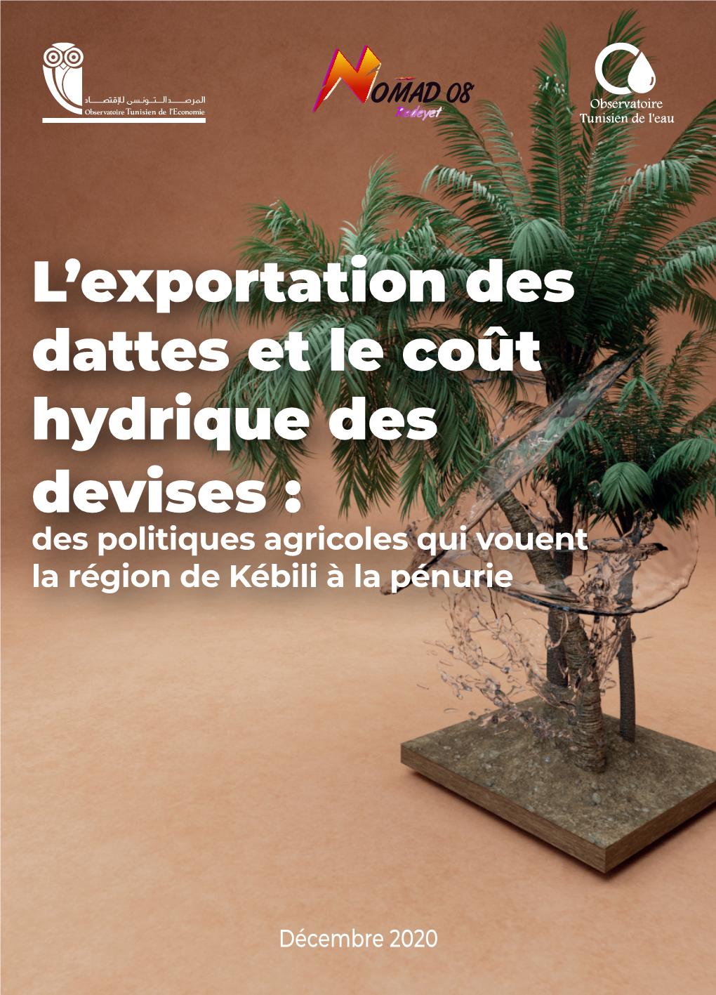 L'exportation Des Dattes Et Le Coût Hydrique Des Devises